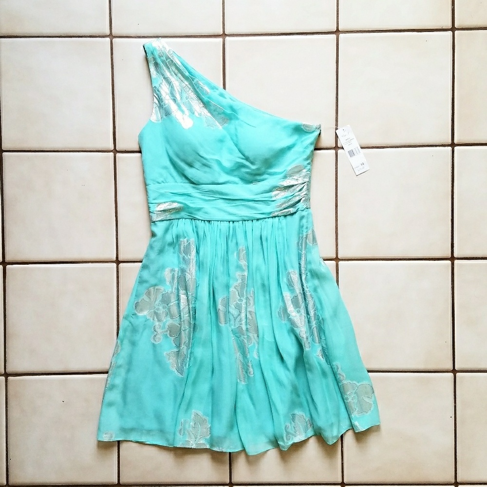 NWT Eliza J New York Silver Floral Aqua Dress